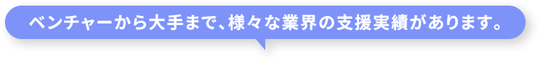 ベンチャーから大手まで、様々な業界の支援実績があります。