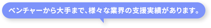 ベンチャーから大手まで、様々な業界の支援実績があります。